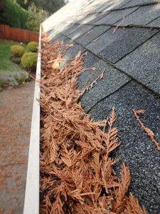 Gutter Cleaning Service Company Near Me in Surrey BC 104