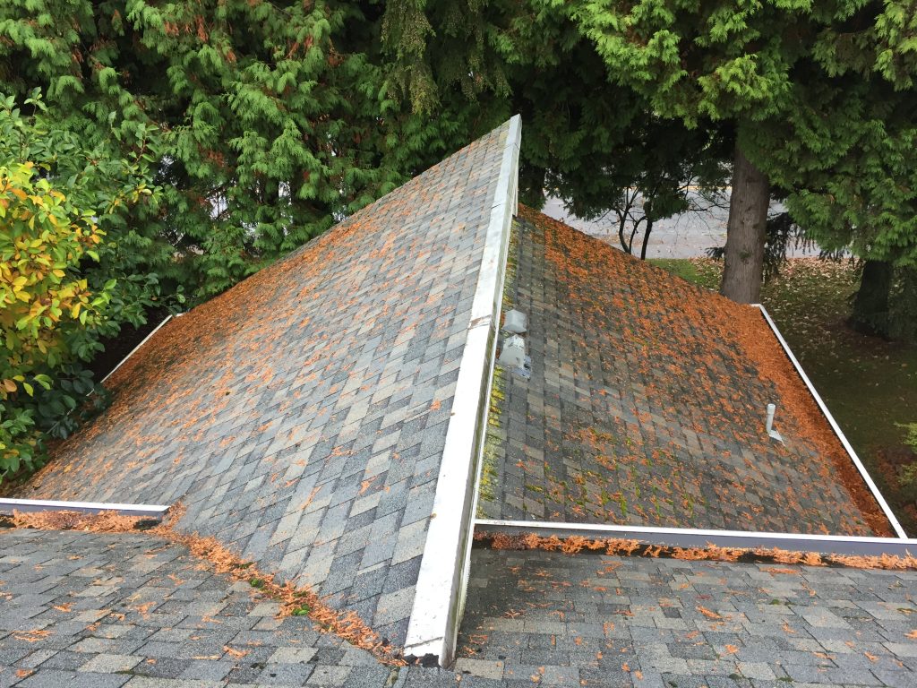 Roof Moss Removal Service Company Near Me in Surrey BC 100