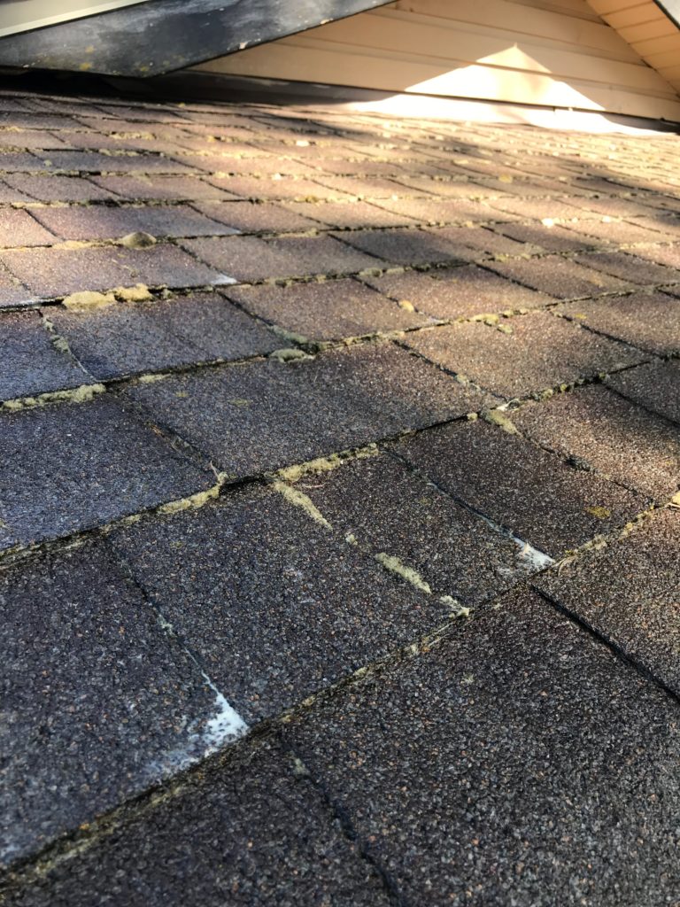 Roof Cleaning Service Company Near Me in Surrey BC 100