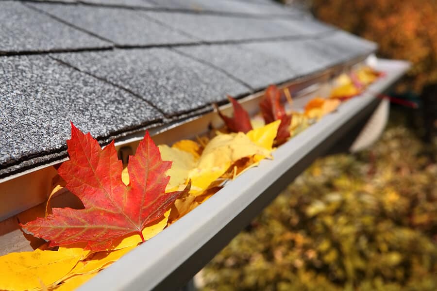 Gutter Cleaning Service Company Near Me in Surrey BC 100