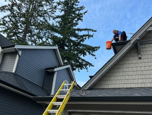 Gutter Cleaning Service Company Near Me in Surrey BC 3
