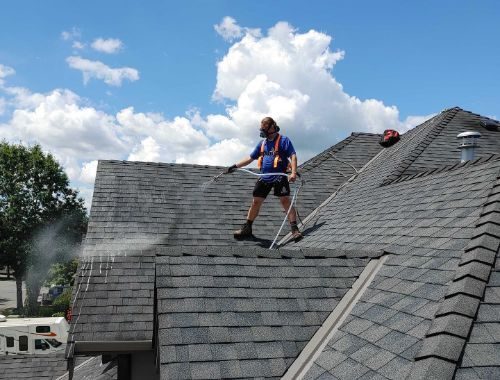 Roof Moss Removal Service Company Near Me in Surrey BC
